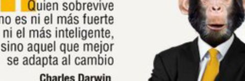 amparo0733's profile banner image