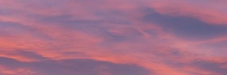 TiaGupta367's profile banner image