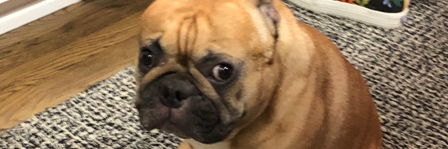 TheGraziel's profile banner image