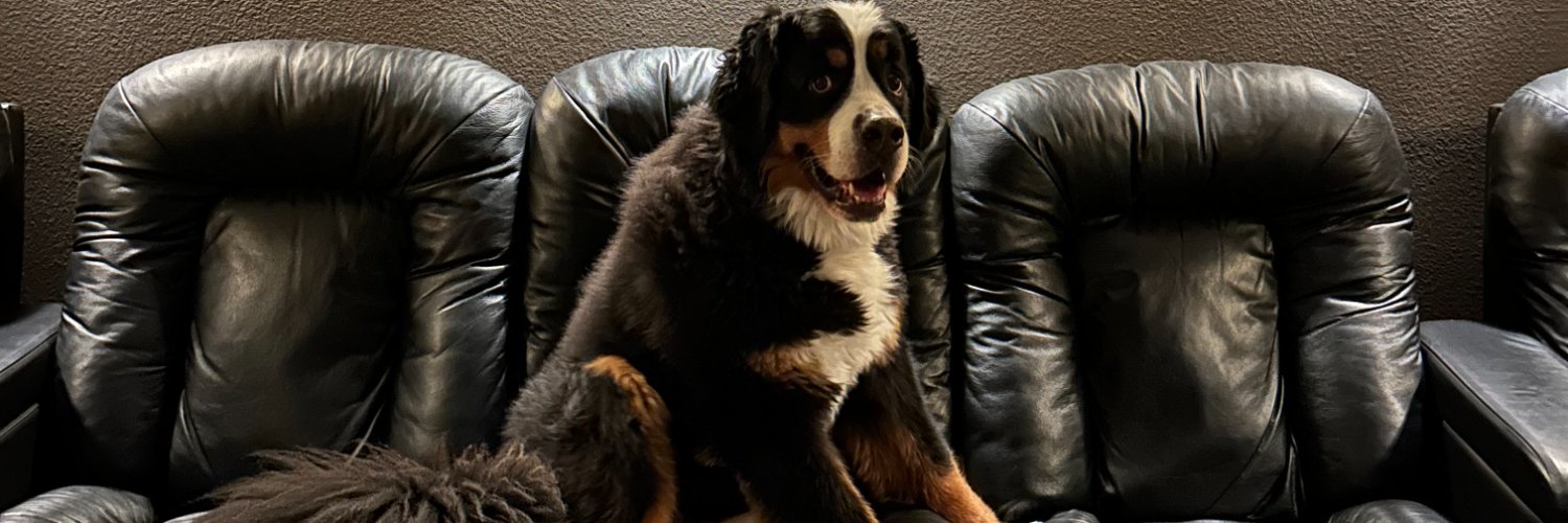 pstuart's profile banner image