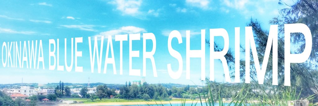 BWSandMG's profile banner image