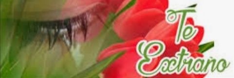 AGUAVIRA's profile banner image