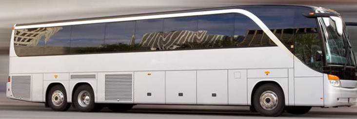 PUREBUS banner
