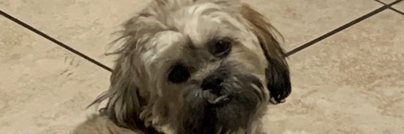 NoahK0809's profile banner image
