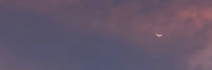 AnreeDino's profile banner image