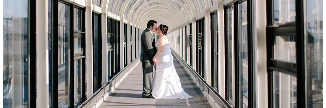 ashleywiels's profile banner image