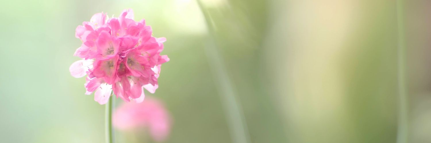 みん📷好きなもの撮ってくアカ banner