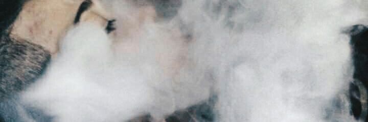 rampardines's profile banner image