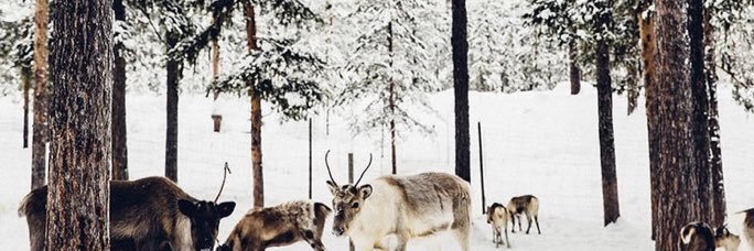 kaylassenn's profile banner image