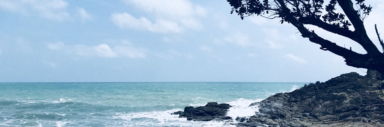 GraceDooley's profile banner image
