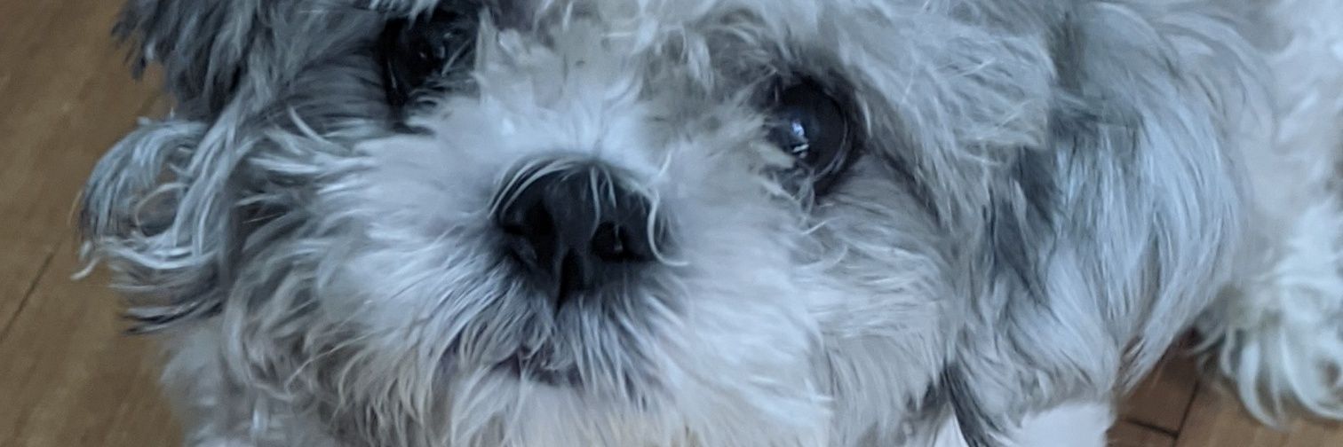 krisdipity's profile banner image