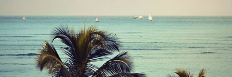 esy2e's profile banner image