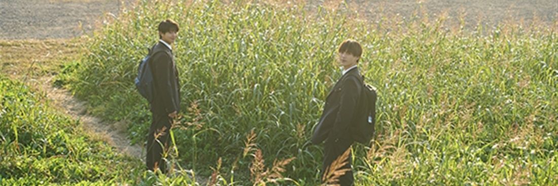 chocomint_kyu's profile banner image