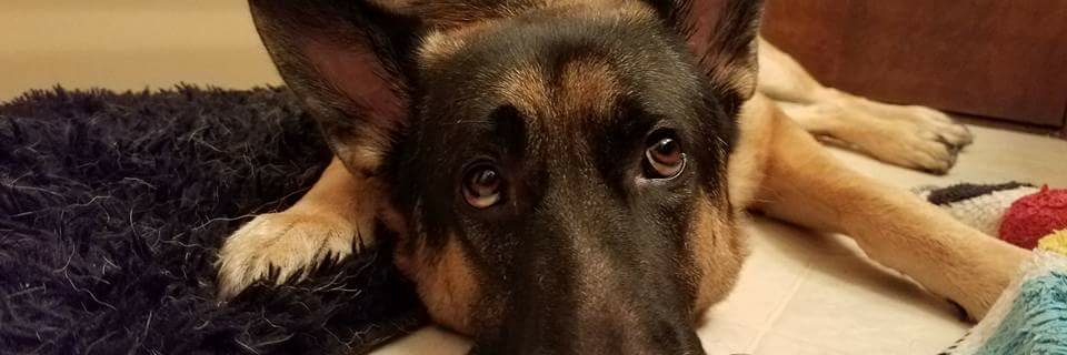 EmThom23's profile banner image