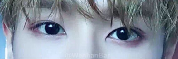 WenhanBar's profile banner image