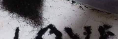 itken_zion's profile banner image