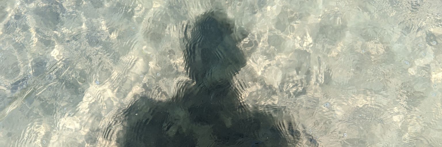 DOUMICPET's profile banner image