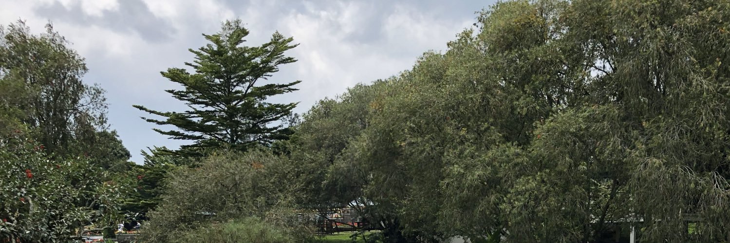 7_ew8's profile banner image