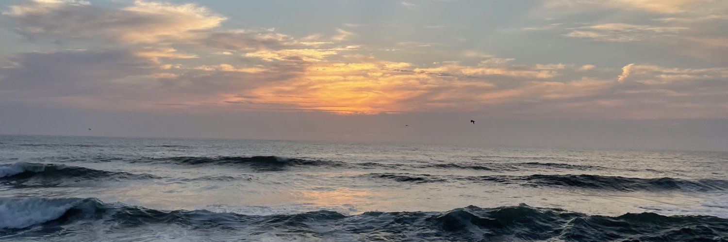 AylexLe's profile banner image