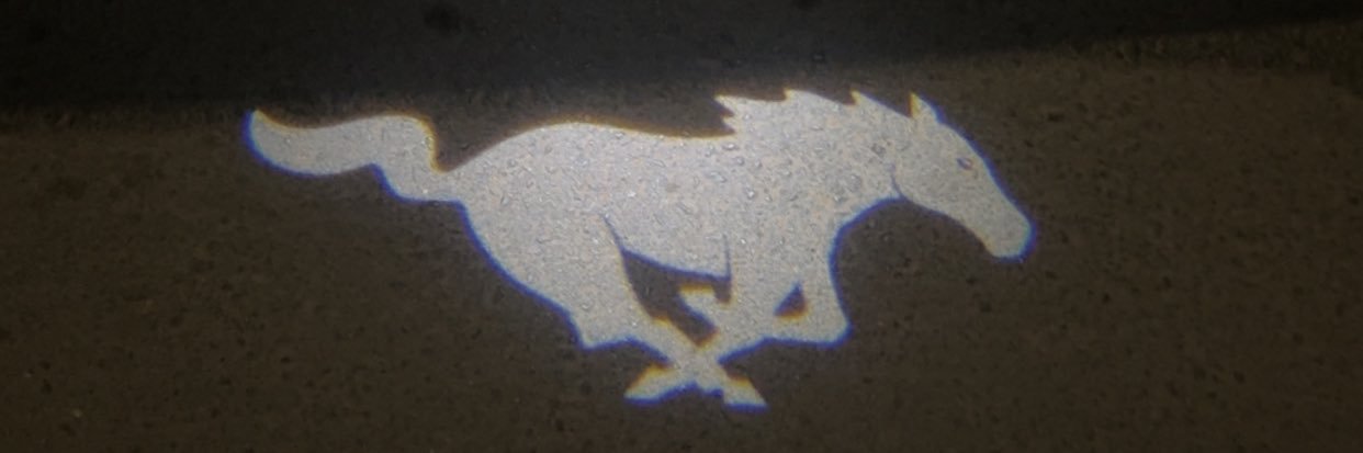 AliQ banner