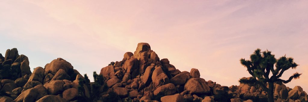amanda_deer's profile banner image