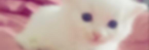 1130_1330's profile banner image