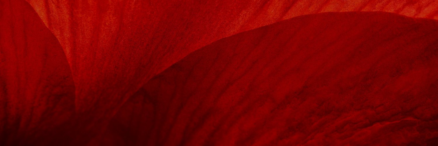 fhmiar's profile banner image