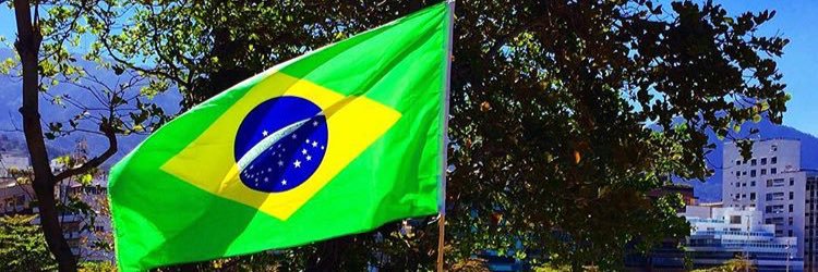 multocida's profile banner image