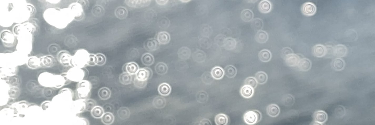 clairdelune0428's profile banner image
