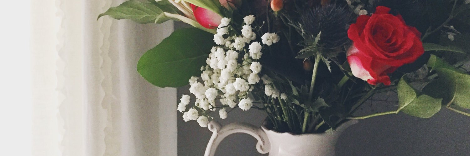 Lindsay_Hoff's profile banner image