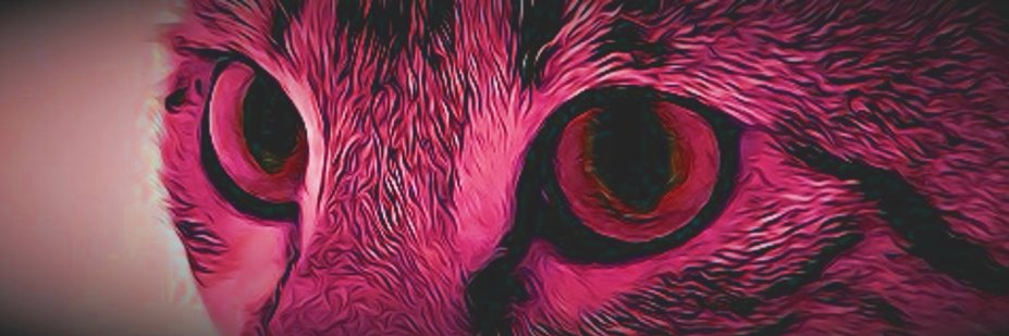 WackMF's profile banner image
