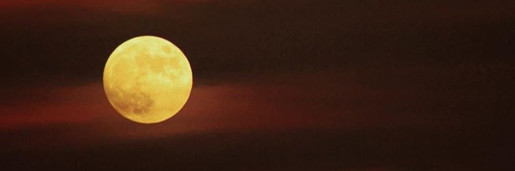 akaWalk's profile banner image