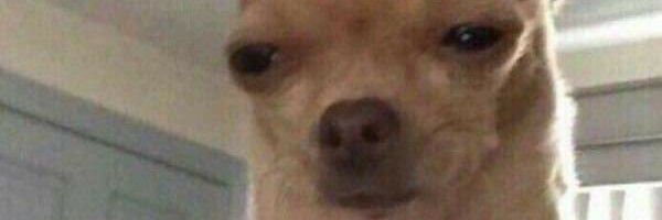josepantoooja's profile banner image