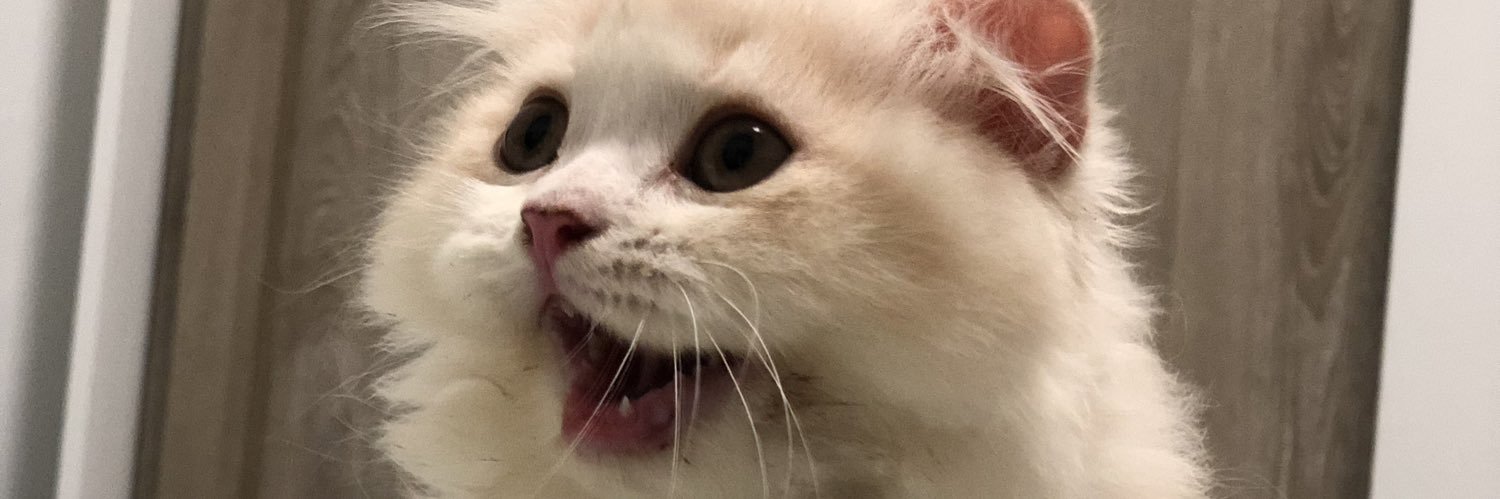 PoLyPloY6's profile banner image