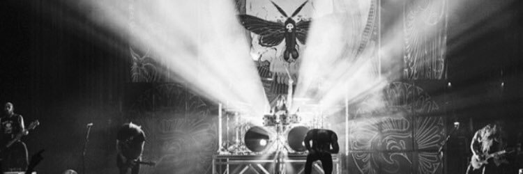lana banner