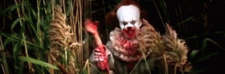 ✨🌷 Jazmin banner