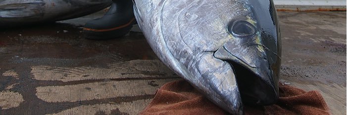 68jan18's profile banner image