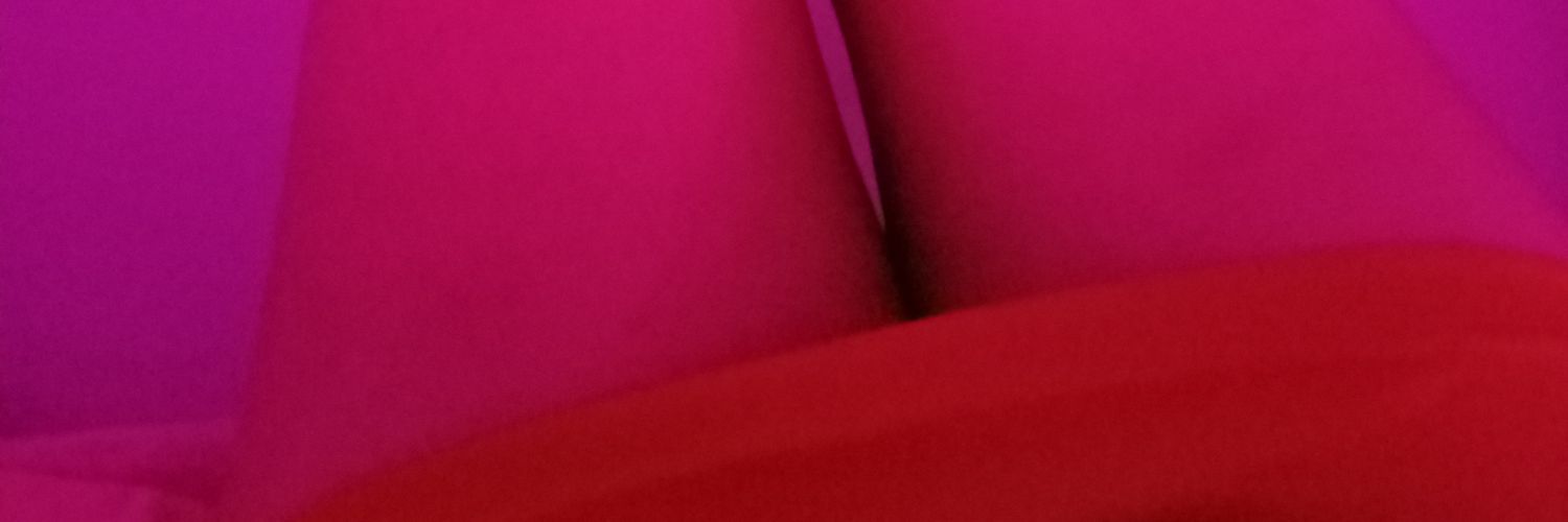 ไอ้หมูสีส้ม 🧡 banner