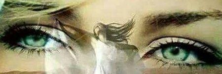 lbantmrad's profile banner image