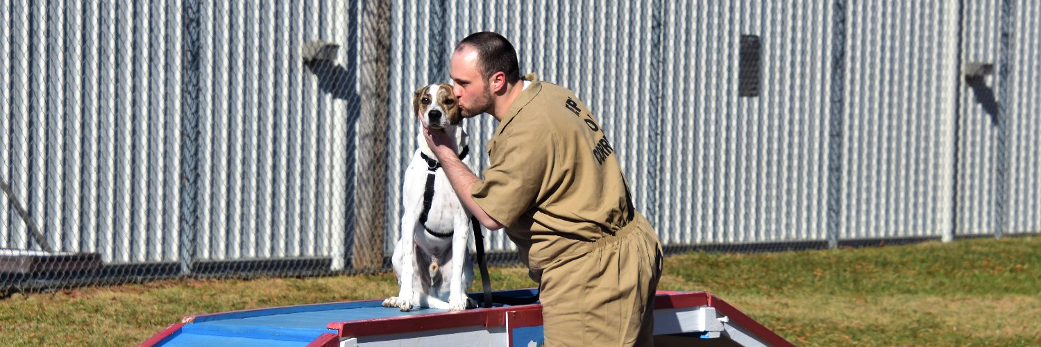 Rescued Program's banner