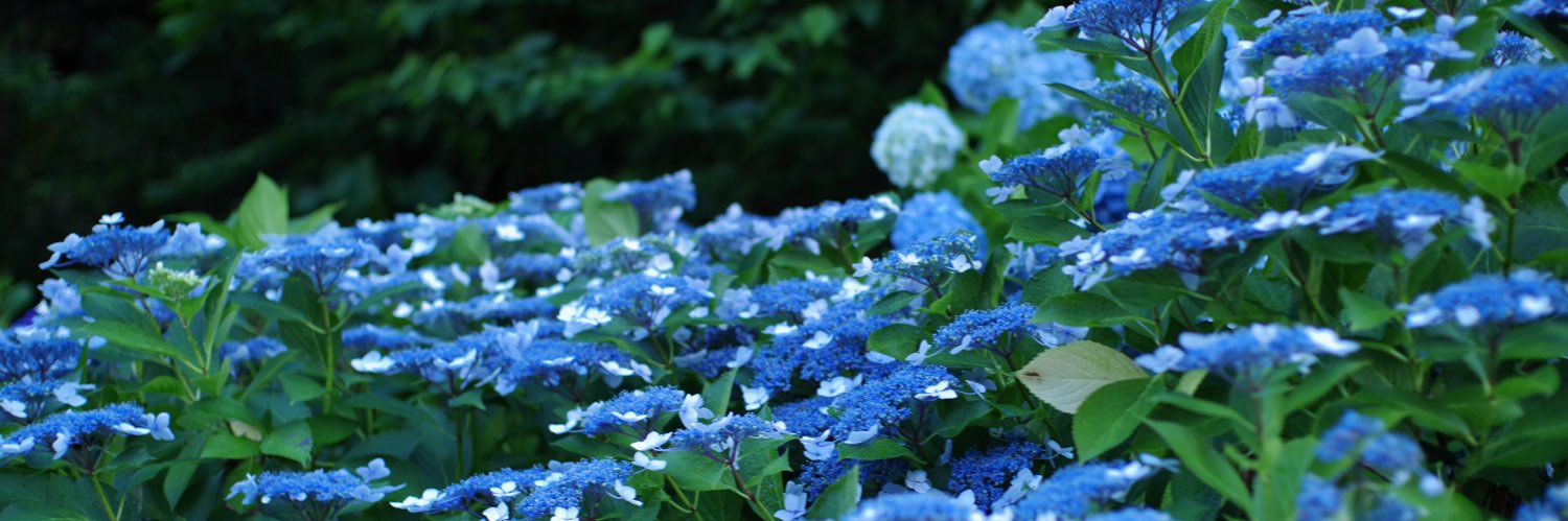 nameco6742's profile banner image