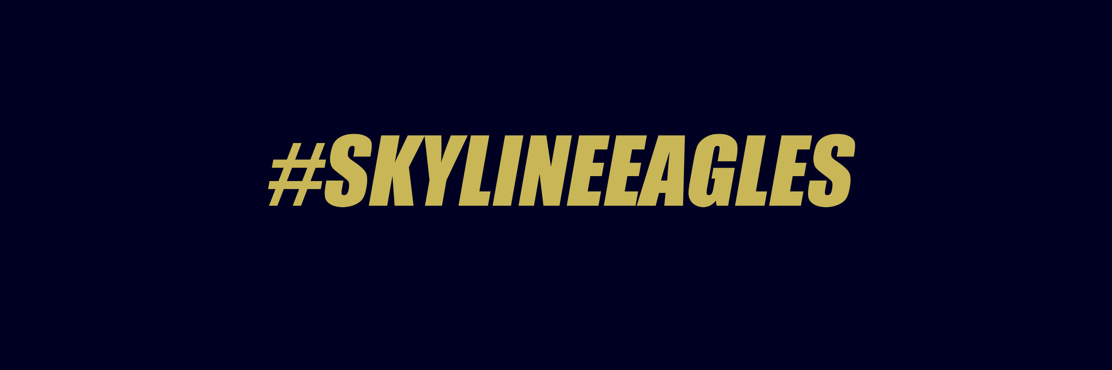 Skyline Eagles banner
