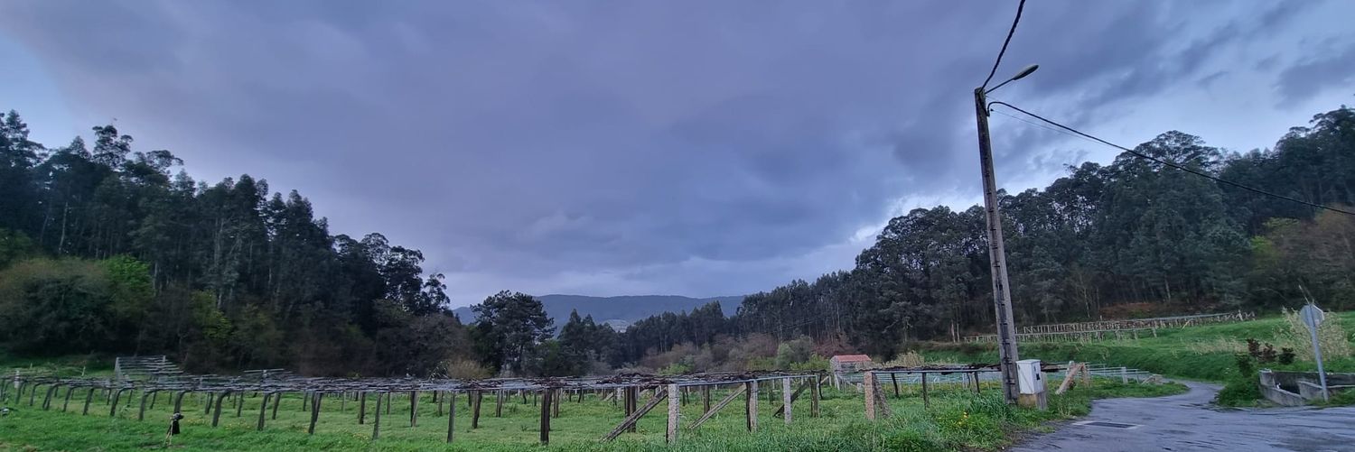 oveRRcs's profile banner image