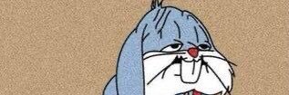 vepalafox's profile banner image
