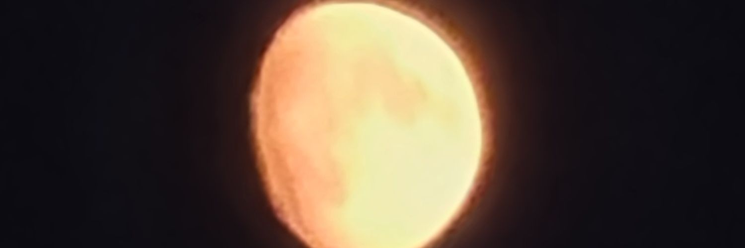 Buck_Fachmann's profile banner image