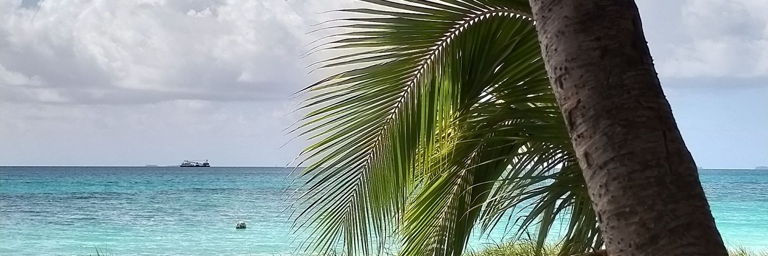 Silafaga Lalua banner