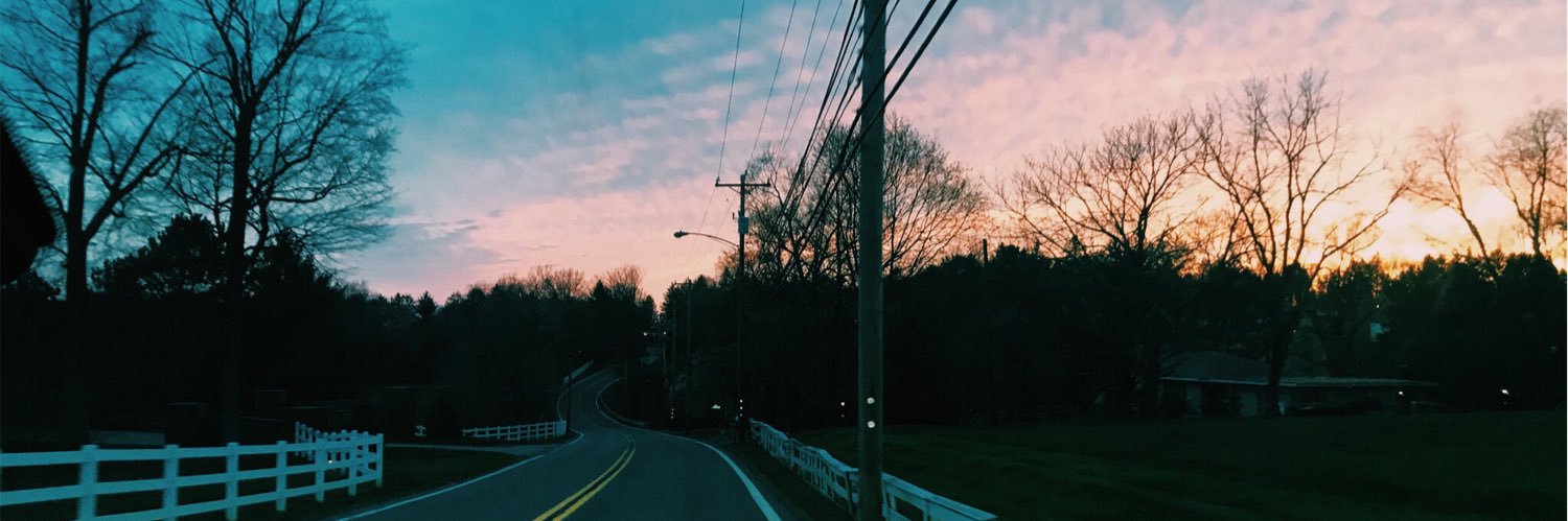 Paige Robinson banner