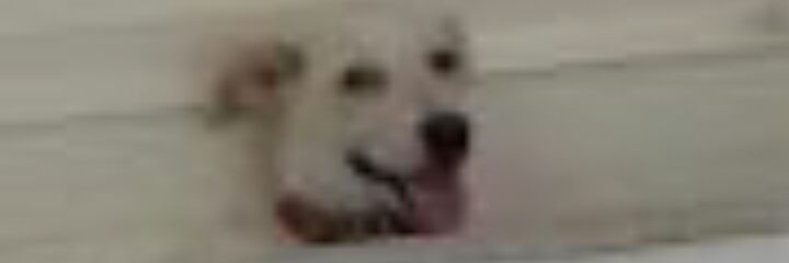 erick_gcs's profile banner image