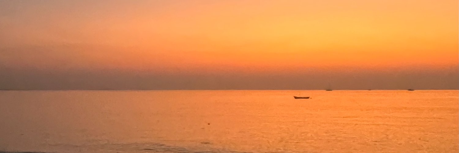 Senel_W's profile banner image