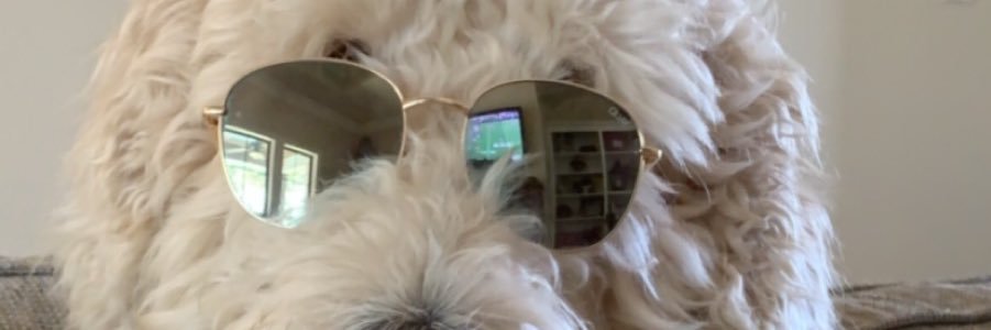 KenzieeeA's profile banner image